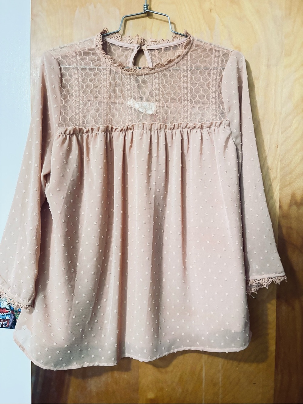 Sweet Wanderer Blush Swiss Dot Lace Yoke Blouse